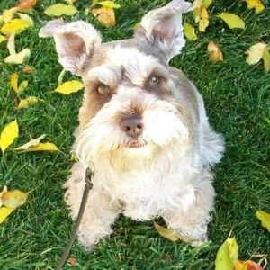 Meet your Posher, Pamela